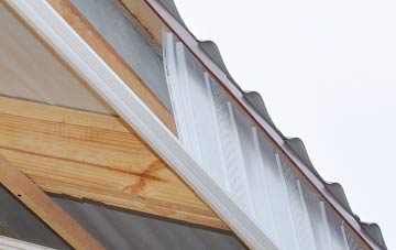 why Appleton Wiske fascia repairs are essential