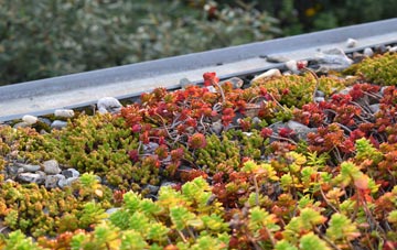 the cost of Appleton Wiske green roof installation