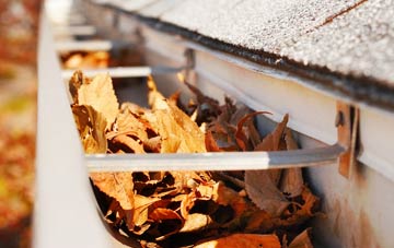 Appleton Wiske gutter cleaning companies