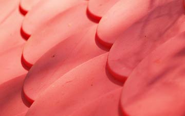 Appleton Wiske plastic roof costs