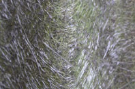 Appleton Wiske fibreglass roof work