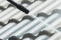 rated Appleton Wiske roof cleaning companies